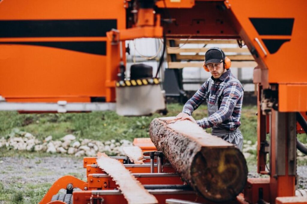 Tree Stump Removal