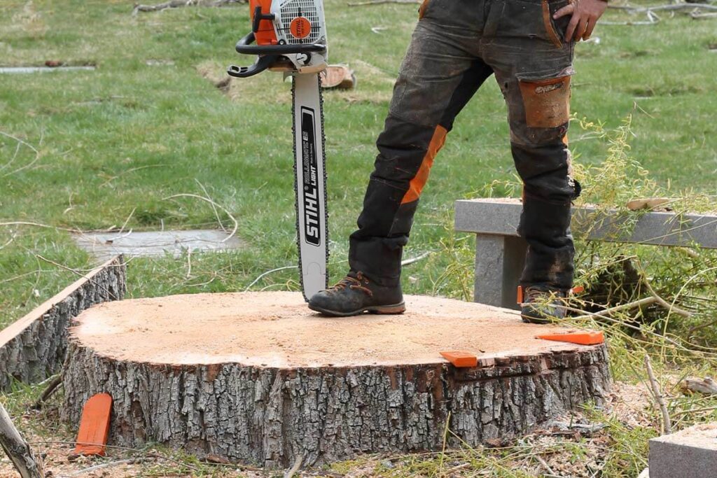 Stump Grinding Services