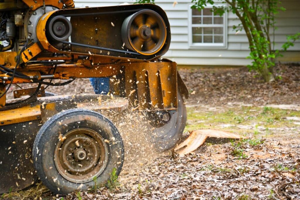 Stump Grinding Services